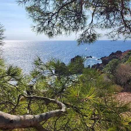 Apartment Magnifique Vue Sur La Mediterranee ! Votre Sejour D'exception Vous Attend